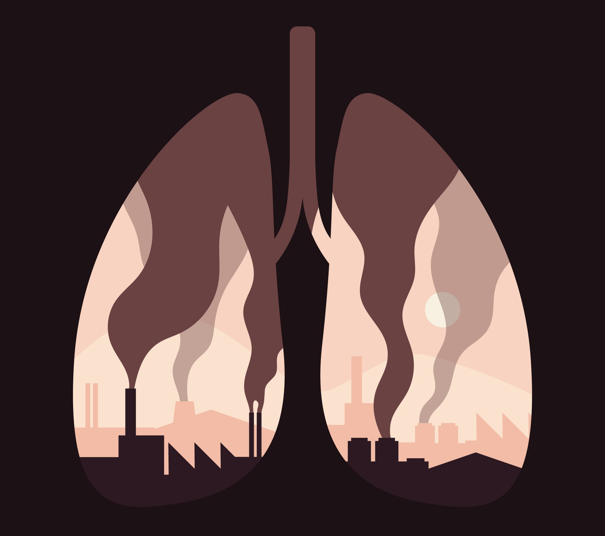PM2.5 particles